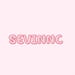 SevinncStore