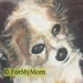 ForMyMom avatar