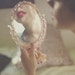sweetvintagegal