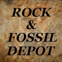 RockFossilDepot