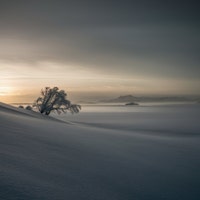 Secluded9