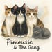 PimousseAndTheGang