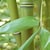 Maya Gardens, Inc.