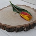 ForestShopUA