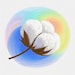 CottonVeil