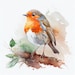 AquarelleHeaven