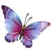 ShonnaFrank avatar
