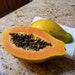BennettSeedCo