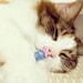 cutemakeco