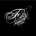 Flaunts Design