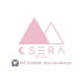 CSERA surface design