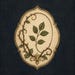 BriarHerbarium