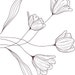Deco and Design Co.