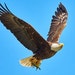 EagleEngravingLLC