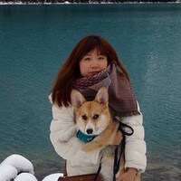 PawsBento