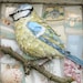 Catherine Wells avatar