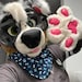 Buyer Avatar