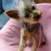 Betty avatar