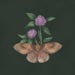 AlchemyofDivinity