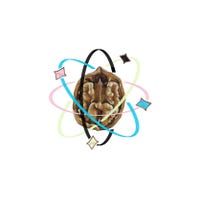 AtomicWalnut