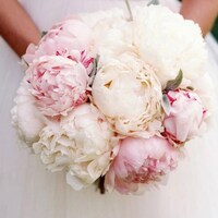 LoveTinyStudio