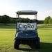 CigRO