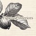FigwoodInteriors