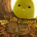 Buyer Avatar
