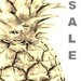 atomicpineapple