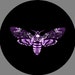 Buyer Avatar