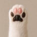 PawtyPartyShop