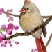 Mary Stites avatar