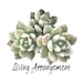 LivingArrangement