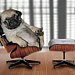 modPug