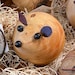 Buyer Avatar