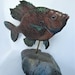 CraftsmanFish Woodshop