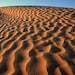 MD SANDS