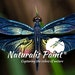 NaturalisPaintResin