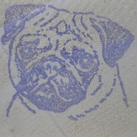 TheVioletPug