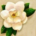 Buyer Avatar