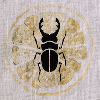 EcoBugBags