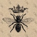 Buyer Avatar