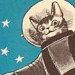 Keetah Spacecat