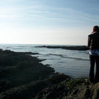 BayosBunting