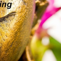 5thElementYoga