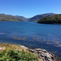 HighlandFelts