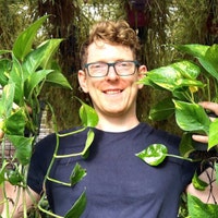 PlantsforallSeasons