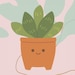 MySucculentCorner