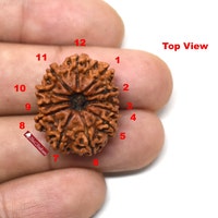 ShriRudram