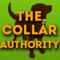TheCollarAuthority